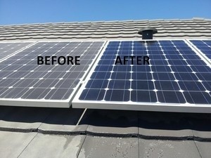 Express Solar Panel Cleaning Pic 4