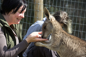 Bianca de Reus Pic 2 - Bianca connecting with Harley the Kangaroo at Little Urchins Wildlife Sanctuary in Victoria