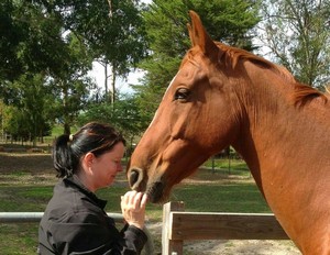 Bianca de Reus Pic 3 - Bianca de Reus talking with Franklin a rescue horse who is rehabilitated to become a therapy horse in country Victoria