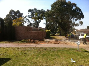 AFFORDABLE TREE & STUMP REMOVAL Pic 2 - AFTER 1