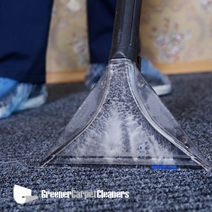 Greener Carpet Cleaners Pic 1 - Carpet Cleaning