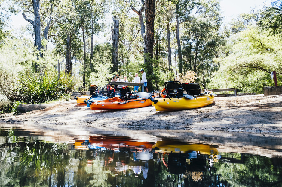 YellowFin Tours Pic 1 - Pedalpowered Hobie MirageDrive kayaks Perfect for ages 6