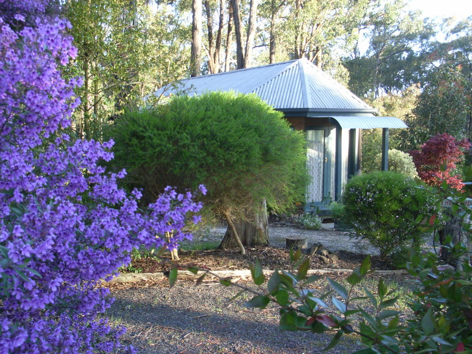 Ponderosa Bed & Breakfast Pic 1 - Blossom