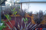 Gardener's Touch Pic 3 - mulch water saving