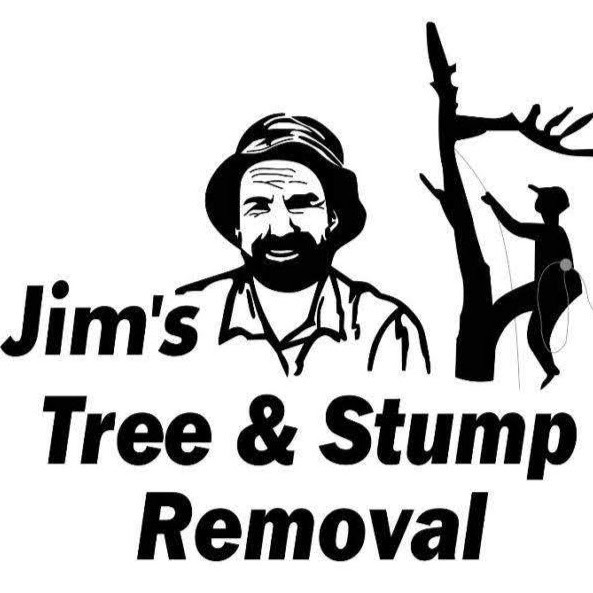 Jim's Tree and Stump Removal Pic 1