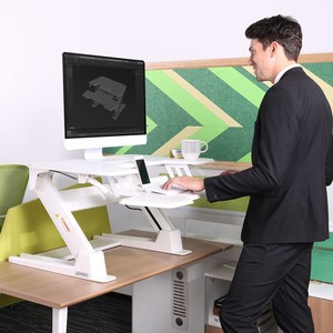 Eureka Ergonomic Pic 4