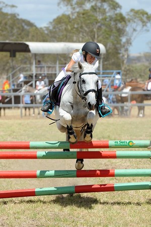 Ethereal Equestrian Pic 3 - Looking