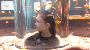 Great Barrier Reef Marine Park Pic 3 - Such an awesome little idea for the kids to check out the fishies My daughter loved it