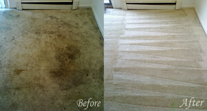 Carpet Cleaning Red Hill Pic 3