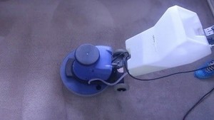 Carpet Cleaning Steam OR Dry Pic 4