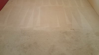 Carpet Cleaning Steam OR Dry Pic 1