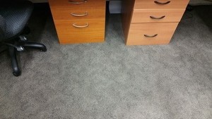 Carpet Cleaning Steam OR Dry Pic 3