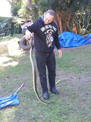 N&S Snake Catcher Pic 3 - Call out on a snake in Camira