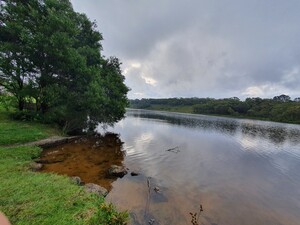 Avail Mega Taxi Pic 4 - Wentworth Falls Lake