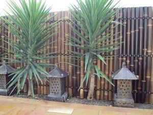 Big Impact Landscaping Pic 5 - Bamboo Screening