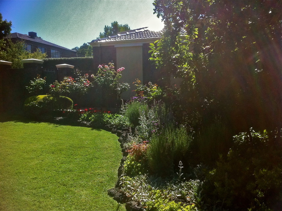 Cameron Lynch Horticulture Pic 1 - A rockery we maintain in Balwyn North flowering well into summer