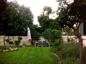 Cameron Lynch Horticulture Pic 3 - A small garden we maintain in Croydon Hills still flowering well into winter