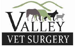 Valley Veterinary Surgery Mackay Pic 2