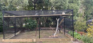 Catyards For Backyards Pic 3 - Cat Enclosure MT Eliza