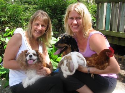 Woof Dog Walkers Pic 2