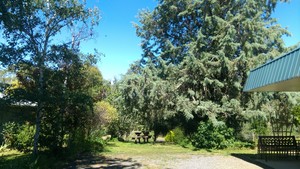 Avoca Motel Pic 4 - Garden