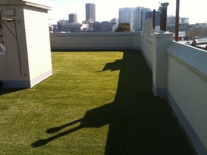 Artificial Grass Sydney Pic 5 - Artificial Grass Sydney Roof tops