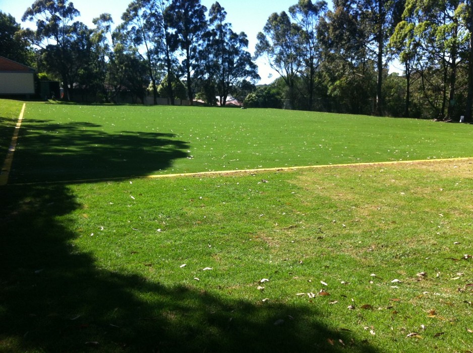 Artificial Grass Sydney Pic 1 - Synthetic Grass Sydney