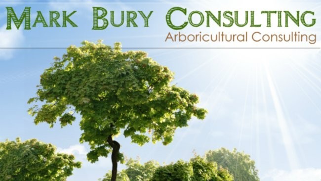 Mark Bury Consulting Pic 1