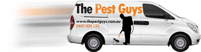 The Pest Guys Pic 1