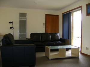 Apartments On Tolmie Pic 4 - 2 bedroom apartment living room with double sofa bed and gas heating