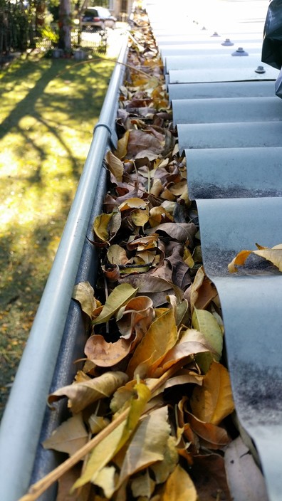 Pauls Gutter Cleaning Pic 1 - Before the gutter was cleaned