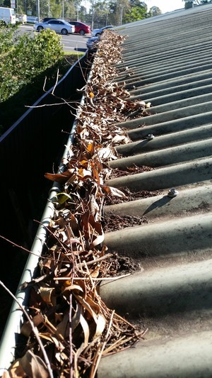 Pauls Gutter Cleaning Pic 3 - Before the gutter was cleaned