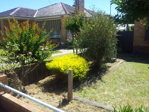 Moore's House Repairs And Garden Services Pic 4