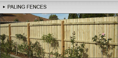 Steves Timber Fencing Pic 1 - Treated Pine Paling Fence