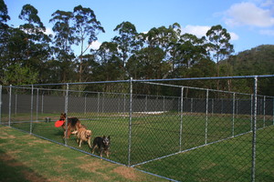 Mountain View Pet Retreat Pic 4 - Large fenced exercise yards