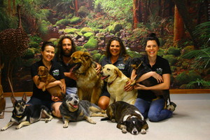 Mountain View Pet Retreat Pic 2 - Staff members Mountain View Pet Retreat