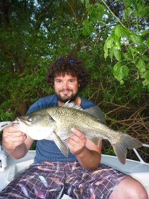 Sydney Sportfishing Adventures Pic 4 - 52cm Hawkesbury Bass