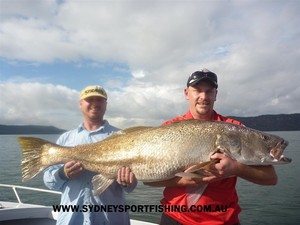 Sydney Sportfishing Adventures Pic 2 - Hawkesbury Mulloway Jewfish