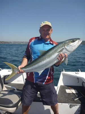 Sydney Sportfishing Adventures Pic 5 - Sydney Kingfish