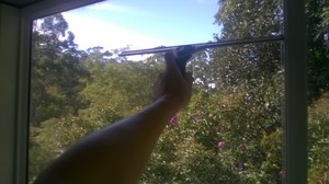 Professional Window Cleaning Pic 4