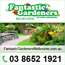 Fantastic Gardeners Melbourne Pic 1