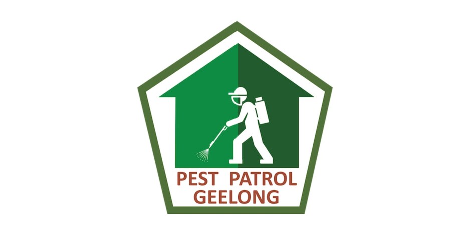 Pest Patrol Geelong Pic 1