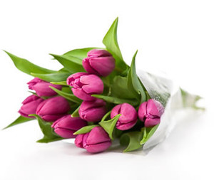 Daily Flower Deals Pic 2 - Daily Flower Deals TULIPS 12 a bunch Same Day Delivery across Melbourne wwwdailyflowerdealscomau