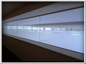 Perlon Services Advanced Glass Coatings Pic 2