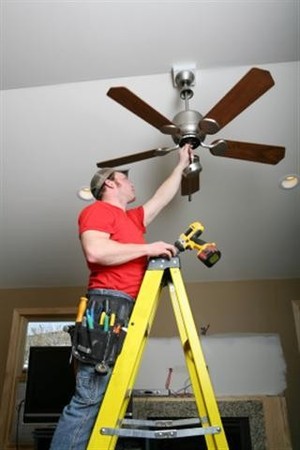 Electec Pic 2 - Ceiling fans