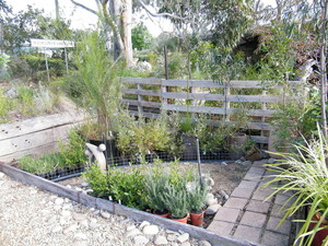 Goldfields Revegetation Pty Ltd Pic 3