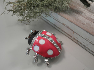 Little Treasure Box Pic 4 - Ladybug Brooch 750