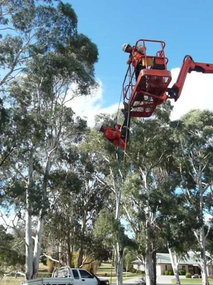 Integral Skills Pic 3 - Working at Heights EWP