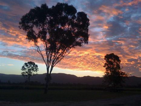 Koorawatha Homestead Motel Pic 1 - Our Stunning Sunsets