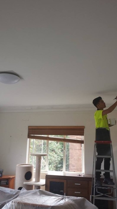 Premium Maintenance Group Pty Ltd Pic 1 - Painting Newly Installed Ceiling